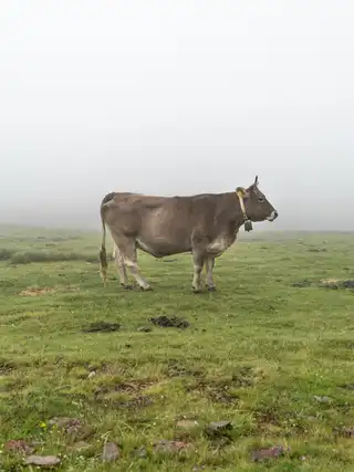 Andorra_HeroImageHeaderVideo