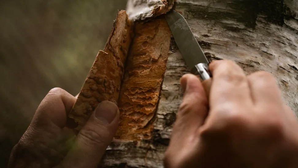 Las antorchas se preparan con tiempo durante las semanas previas a la noche de San Juan. ...