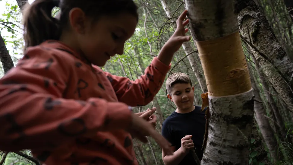En Andorra esta primera etapa es tanto un proceso técnico como un ritual comunitario, motivo por ...