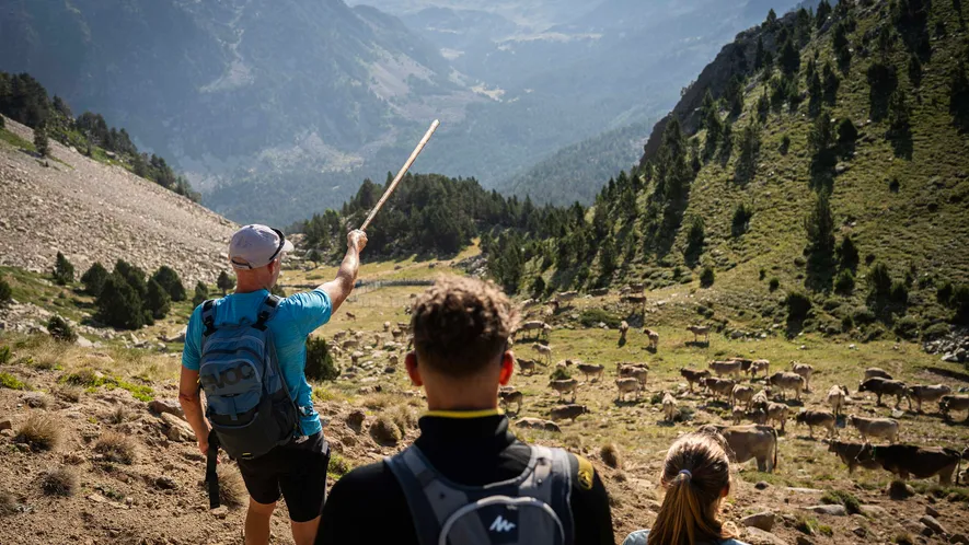 Ferran Font es el cabeza de familia actual de Toni Vila, una casa pairal andorrana cuya ...