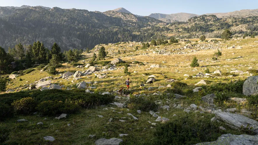 El valle del Madriu-Perafita-Claror, situado en el sureste de Andorra, es un área natural reconocida en ...
