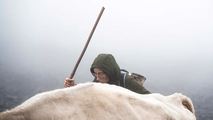 La desaparición de tradiciones como la trashumancia, se debe en gran parte a la falta de ...