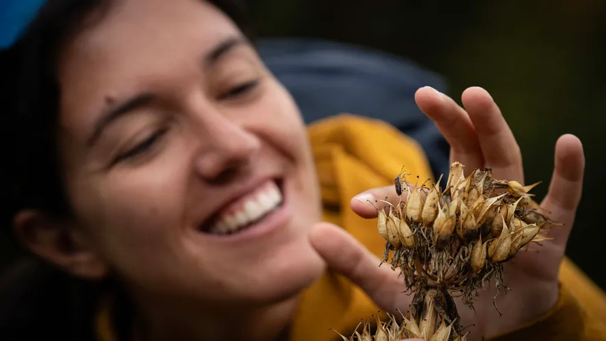 El Parque Natural de Sorteny alberga más de 800 especies de flora, muchas de ellas endémicas ....
