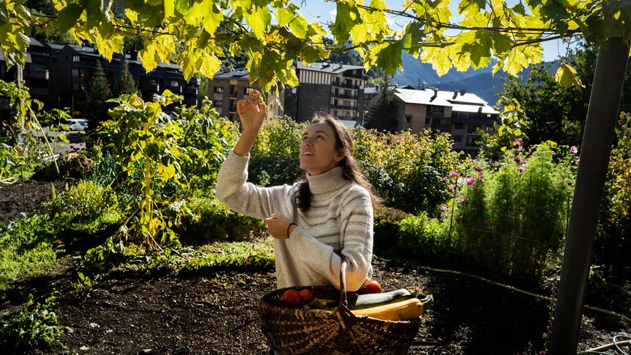 Una de las características más emblemáticas que configura el pintoresco paisaje del pueblo de Ordino, son ...