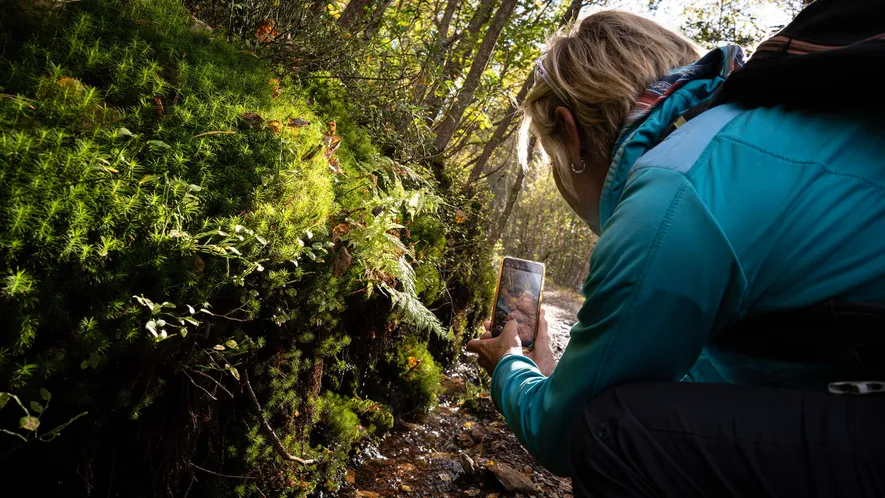 Odile Haeffelin, amante del senderismo y de la fotografía de naturaleza, es maestra en la escuela ...
