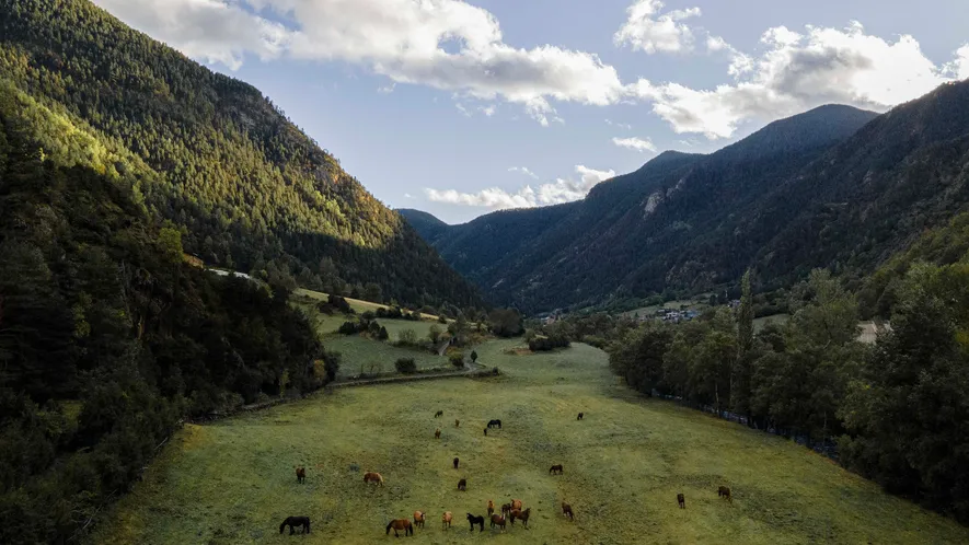 Una de las iniciativas más destacadas que ha impulsado Odile en su escuela es el llamado ...