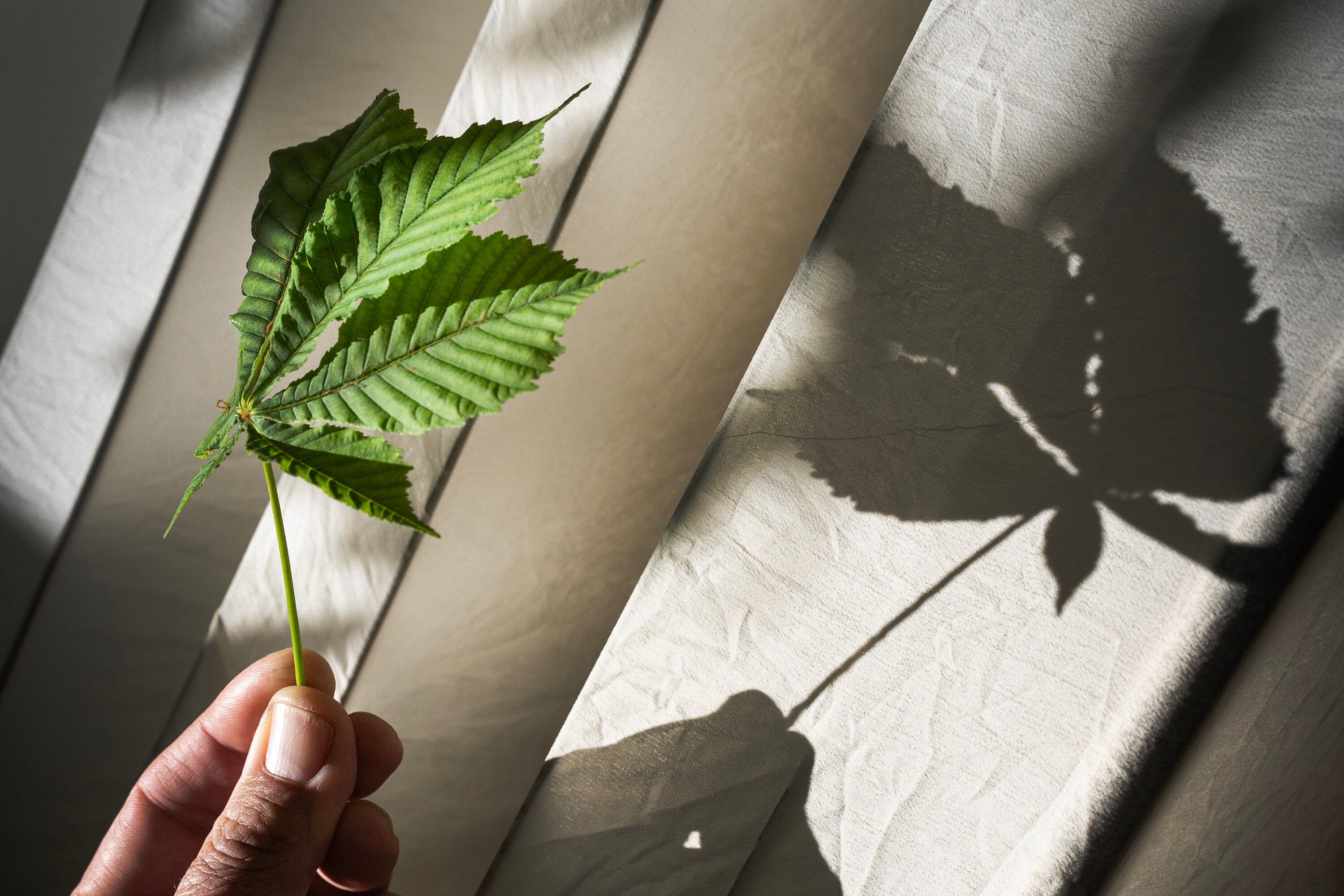 La región de la Anoia nos invita a disfrutar de sus múltiples paisajes, sabores, texturas y aromas. Experiencias que nos reconectan con el entorno y con nosotros mismos como, por ejemplo, el emplear nuestras propias manos y creatividad en un taller de estampación artesanal.