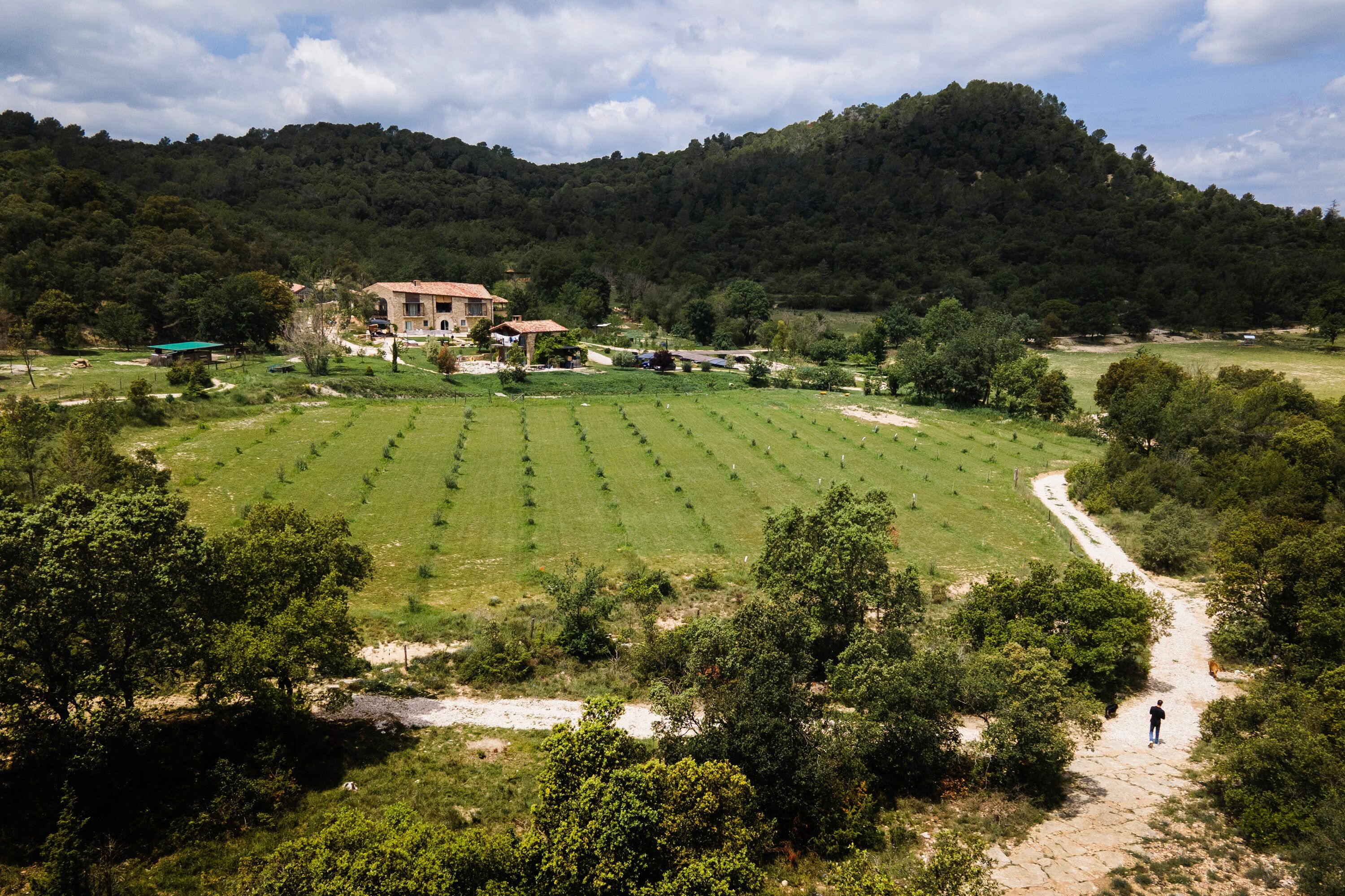 Can Buch es una propuesta de alojamiento ecoturístico, ubicada en pleno corazón de la Garrotxa, cuyos valores sostenibles y ecológicos ofrecen una experiencia única. Una antigua masía reformada completamente autosuficiente, empleando energías renovables que generan en la propia finca.
