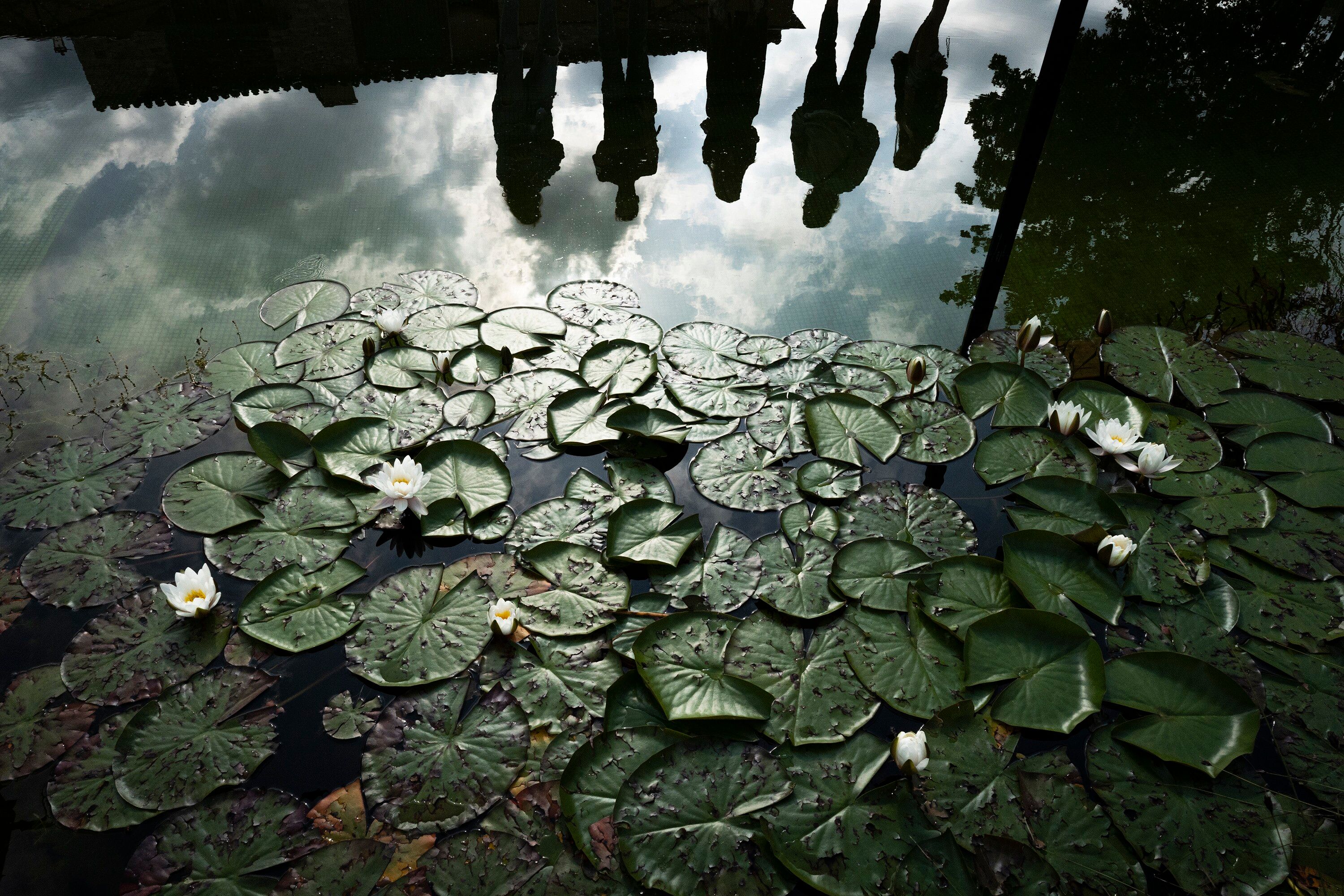 Gerard defiende que en materia de salud y bienestar nuestro cuerpo es muy inteligente, por lo que debemos escucharlo más a menudo. El estilo de vida frenético y estresante que llevamos hoy en día, sobre todo en las urbes, nos desconecta de las señales y mensajes que nos proporciona el cuerpo. Can Buch es un espacio idóneo para reencontrar el equilibrio, la paz mental, recuperar biorritmos saludables y volver a escucharnos.