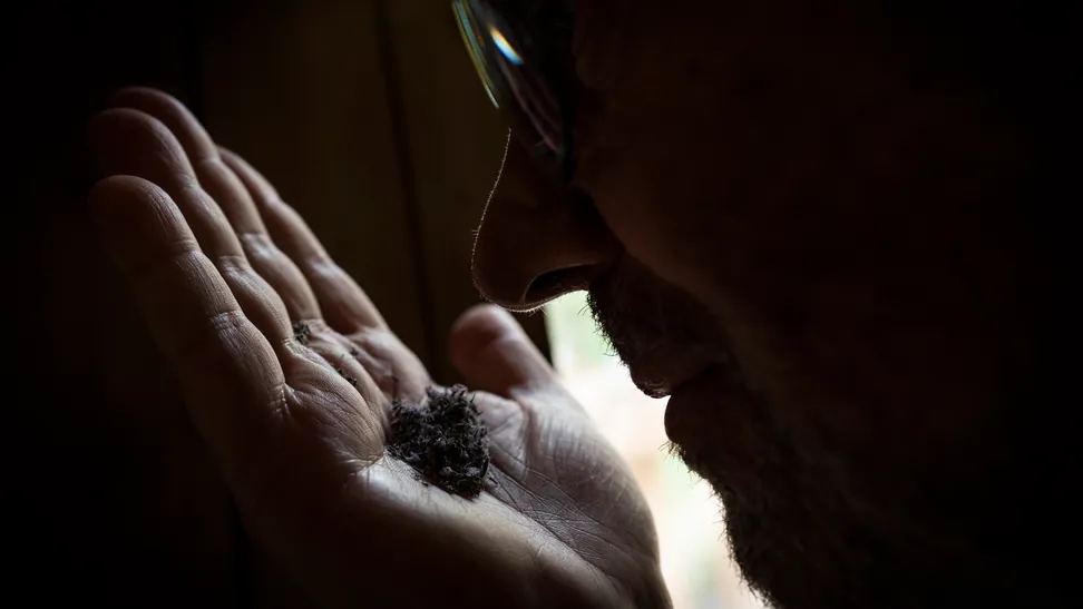 Situado también a pocos kilómetros del Mar Mediterráneo y en pleno Delta del Ebro, encontramos el Jardín Botánico “Ecoherbes Park”. Un espacio agroecológico de hasta 10 hectáreas en el que los visitantes pueden reencontrarse con la naturaleza y descubrir más de 400 especies de plantas aromáticas y medicinales.