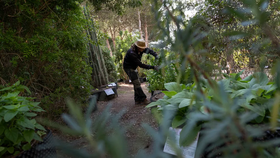 En el jardín botánico las especies vegetales crecen al aire libre, sin invernaderos y siguiendo un procedimiento propio de cultivo y elaboración que busca el equilibrio entre tradición y conocimientos científicos actuales. El recinto cuenta además con un gran banco de semillas y un vivero de reproducción de las especies, con el fin de conseguir mejor adaptabilidad y genética de alta calidad organoléptica.