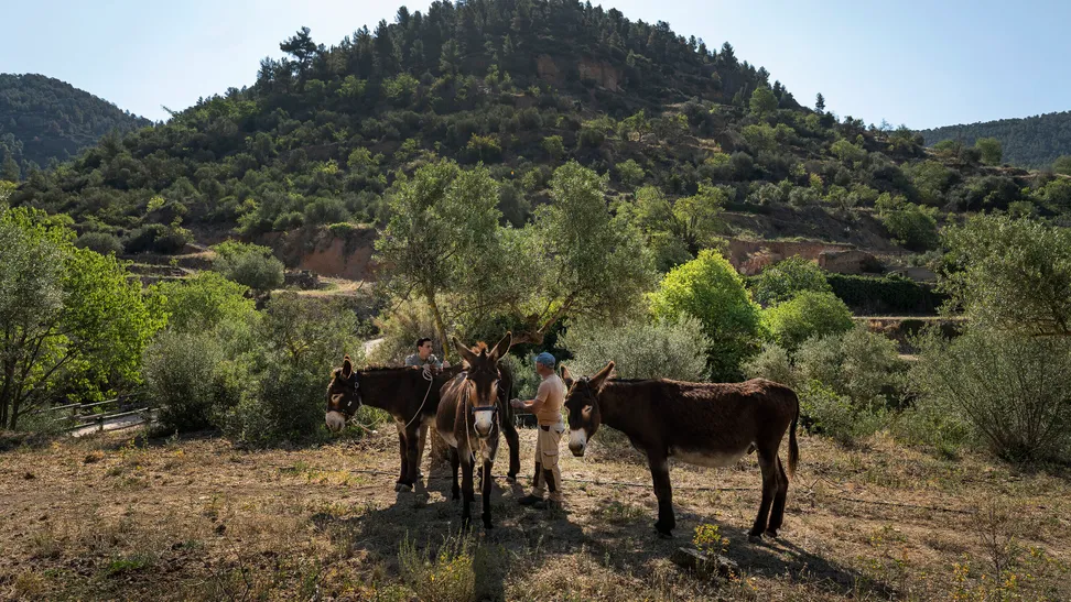 Junto al municipio tarraconense de Cabassers, encontramos el Parque Natural de la Sierra de Montsant, un macizo rocoso que deviene todo un símbolo de la comarca del Priorat. Un paisaje único caracterizado por una abrupta orografía de riscos, barrancos y desfiladeros, así como por la huella de la actividad humana (en forma de una intensa tradición eremítica), que nos ofrece un rico patrimonio natural y cultural vinculado a los valores espirituales de la montaña.