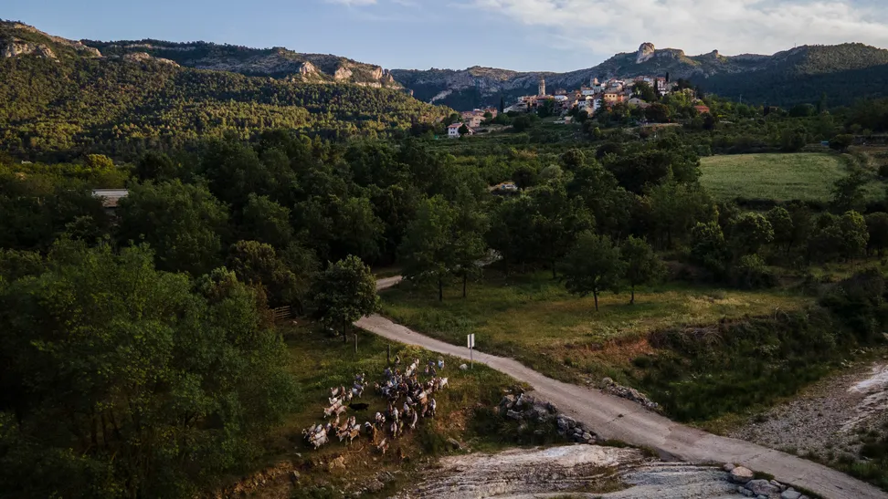 El municipio de Capafonts se encuentra situado en medio de las Montañas de Prades, en el interior de la Costa Daurada, cerca de Tarragona. Un acogedor destino rural en el cual se puede experimentar la verdadera esencia de la montaña mediterránea más salvaje e inhóspita. Un valle, esculpido por el río Brugent, que destaca por su gran riqueza forestal y faunística.