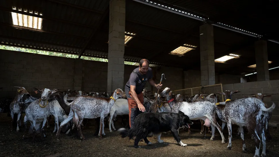 Sergi Serra reconoce que, desde muy pequeño, su vista siempre se escapaba hacia las montañas que rodean Reus, su ciudad natal. Ahora ha podido cumplir el sueño de vivir en el mundo rural, donde siente una conexión especial con el entorno natural: “lo que más me gusta es contar hasta tres, cerrar los ojos y observar qué es lo que siento”.