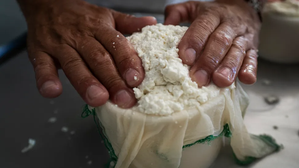 Los quesos artesanales de “La Vall del Brugent”, elaborados a partir de la leche de las cabras que pastan en la región, son ya uno de los referentes gastronómicos de la demarcación de Tarragona. Un producto que es consecuencia del respeto que tiene Sergi por los animales, y del amor que profesa a un tipo de profesión que, lamentablemente, está desapareciendo. 