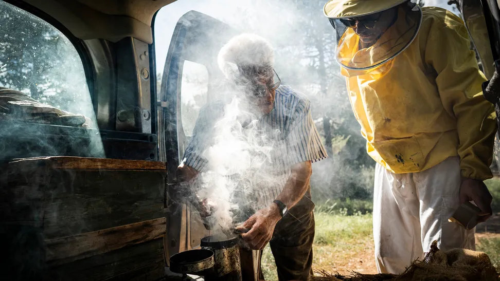 La pasión de Quimet, como se le conoce en el pueblo, acabó creciendo y convirtiéndose en oficio; una actividad económica antaño muy extendida por la comarca debido, en gran parte, a las condiciones climatológicas óptimas de ésta. Una profesión que, como muchas otras del ámbito rural, actualmente se encuentra en vías de desaparición.