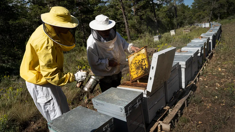 Muchos productores locales u oficios tradicionales del ámbito rural se están perdiendo, por lo que necesitan mayor visibilidad y reconocimiento. La iniciativa de Cristian, “Be Origen”, una de las ideas ganadoras de la primera edición de Ecotour Challenge, tiene como objetivo principal conectar a las comunidades rurales con el resto de la sociedad, a través de la transformación social, cultural y digital.