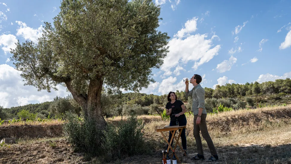 Tierra Alta es la comarca menos industrializada de las Terres de l'Ebre, conocida por la calidad de sus productos agroalimentarios, especialmente vinos y aceites, y por conservar casi de forma intacta una amplia variedad de paisajes. “Vinomi” es una iniciativa que nace de la estima por este territorio y de la ilusión de ofrecer experiencias rurales y enológicas a quienes se aventuran a descubrirlo.