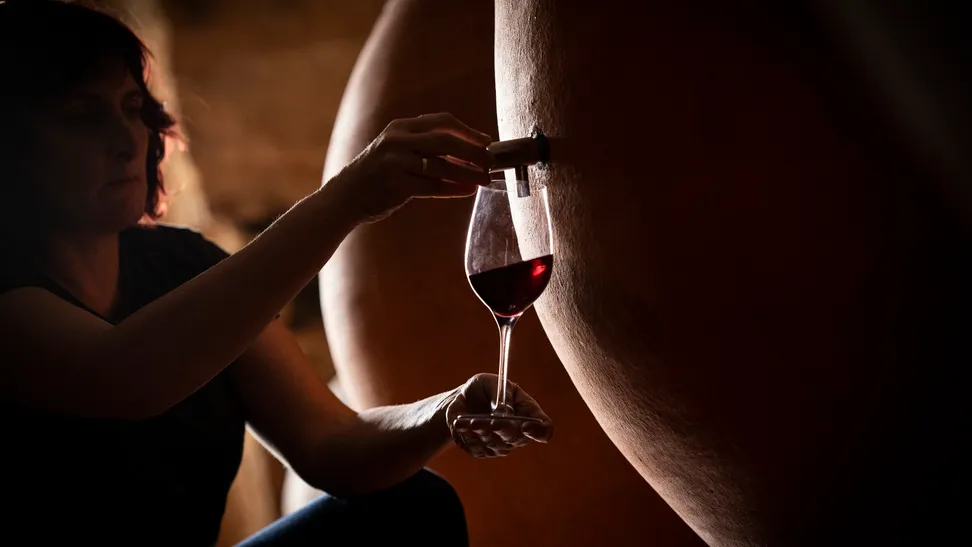 Pilar Ferrando, creadora del proyecto ecoturístico, defiende que no hay mejor manera de conocer un lugar que hacerlo a través de su cultura, historia y gastronomía. Tal es su pasión por la región que la acogió y por el mundo del vino, que reconoce que algunas de sus experiencias vitales más importantes se han producido entre las paredes de una bodega o rodeada de viñedos. 