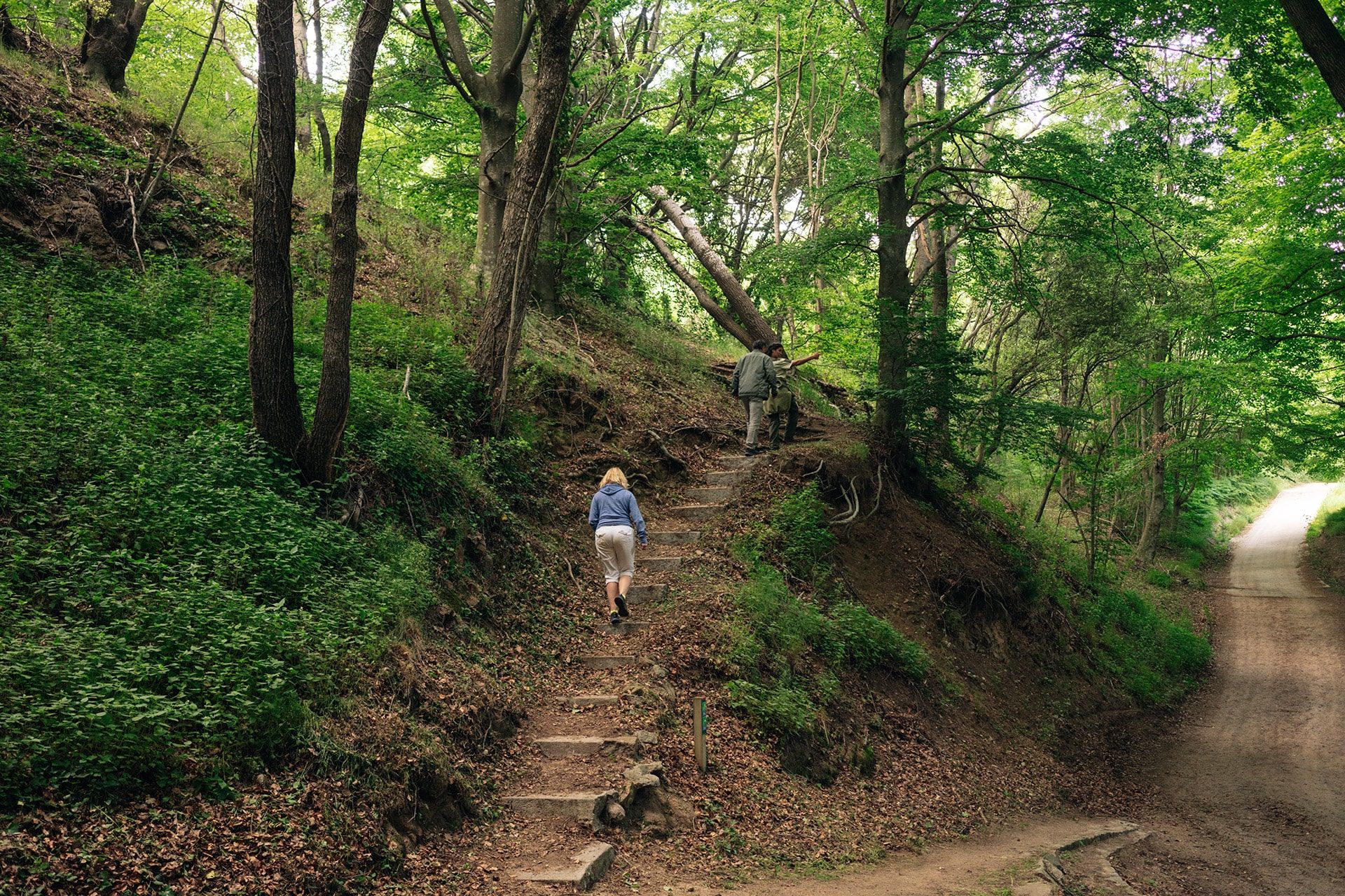 Situado en la Cordillera Prelitoral Catalana, el Montseny es un Parque Natural protegido y declarado por la UNESCO como Reserva de la Biosfera. Con paisajes que van del mediterráneo al alpino, alberga una gran diversidad ecológica y cultural a tan solo una hora de Barcelona.
