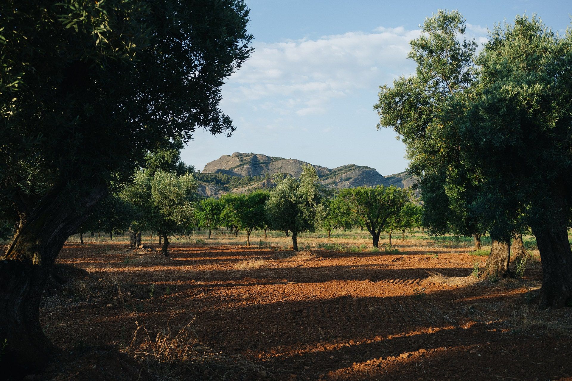 En el corazón de las Terres de l’Ebre se encuentra el Parque Natural de Els Ports, el cual destaca por su abrupto relieve y su riqueza geológica. El ser una región poco transitada ha favorecido la conservación de una biodiversidad excepcional, al tiempo que ha moldeado un modo de vida ligado al sector primario.