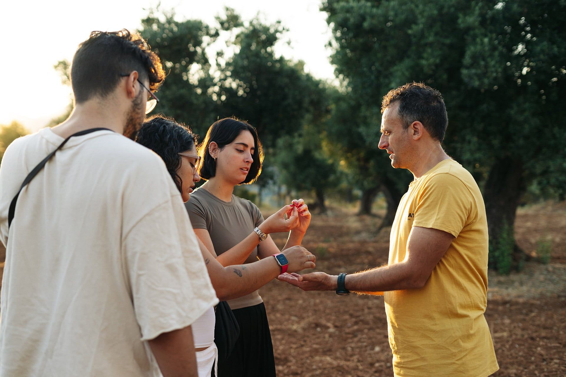 Toni Beltran, químico de formación, impulsa Identitat, un proyecto familiar de producción de aceite de oliva ecológico. Desde su molino, pionero en sostenibilidad en Cataluña, elabora aceites que priorizan los beneficios para la salud, al mismo tiempo que reivindican el valor cultural y paisajístico del olivar.