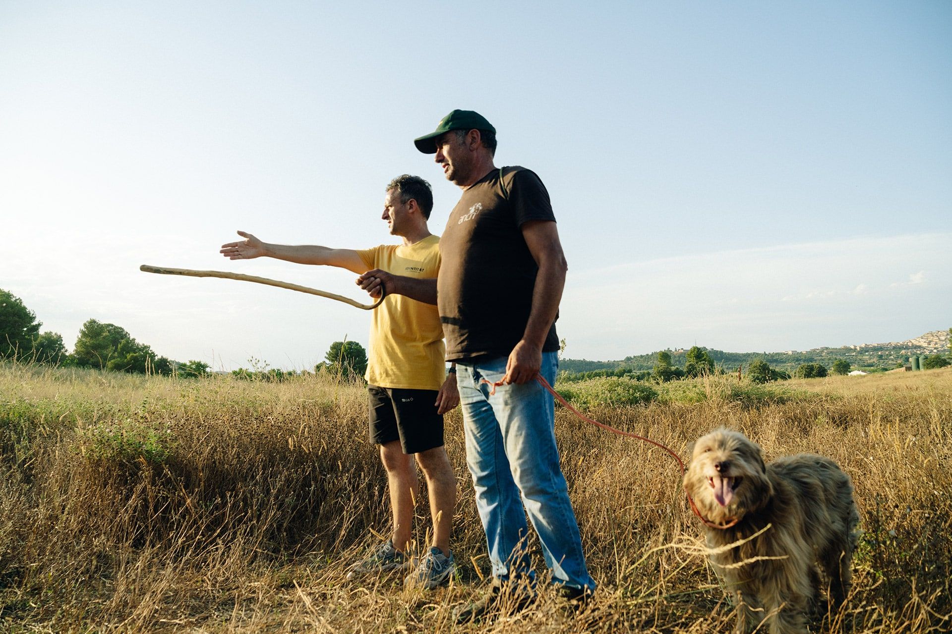 Miquel, junto a su inseparable perro Rumbo, es pastor en Terres de l’Ebre, donde cría sus ovejas en régimen extensivo. El rebaño se alimenta libremente entre prados naturales, matorrales mediterráneos y encinas, en un equilibrio respetuoso con el entorno que mantiene viva una forma ancestral de relación con el paisaje.