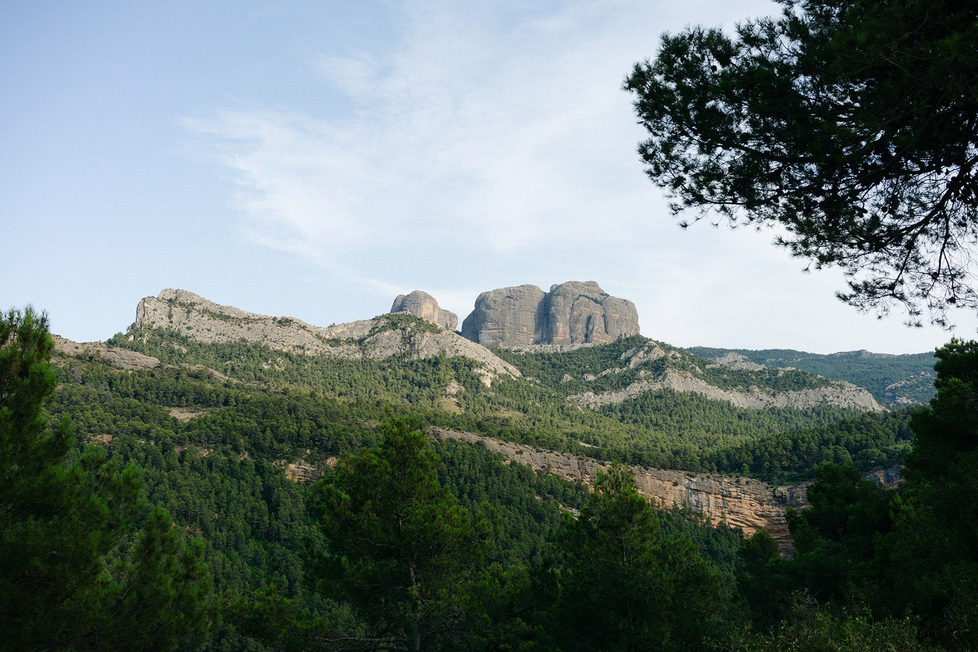 Las Rocas de Sant Benet son una formación geológica emblemática del Parque Natural de Els Ports. Su silueta abrupta y monumental no solo define el carácter agreste del paisaje, sino que también ha sido fuente de inspiración para artistas como Picasso, que encontró aquí la fuerza plástica del mundo natural.