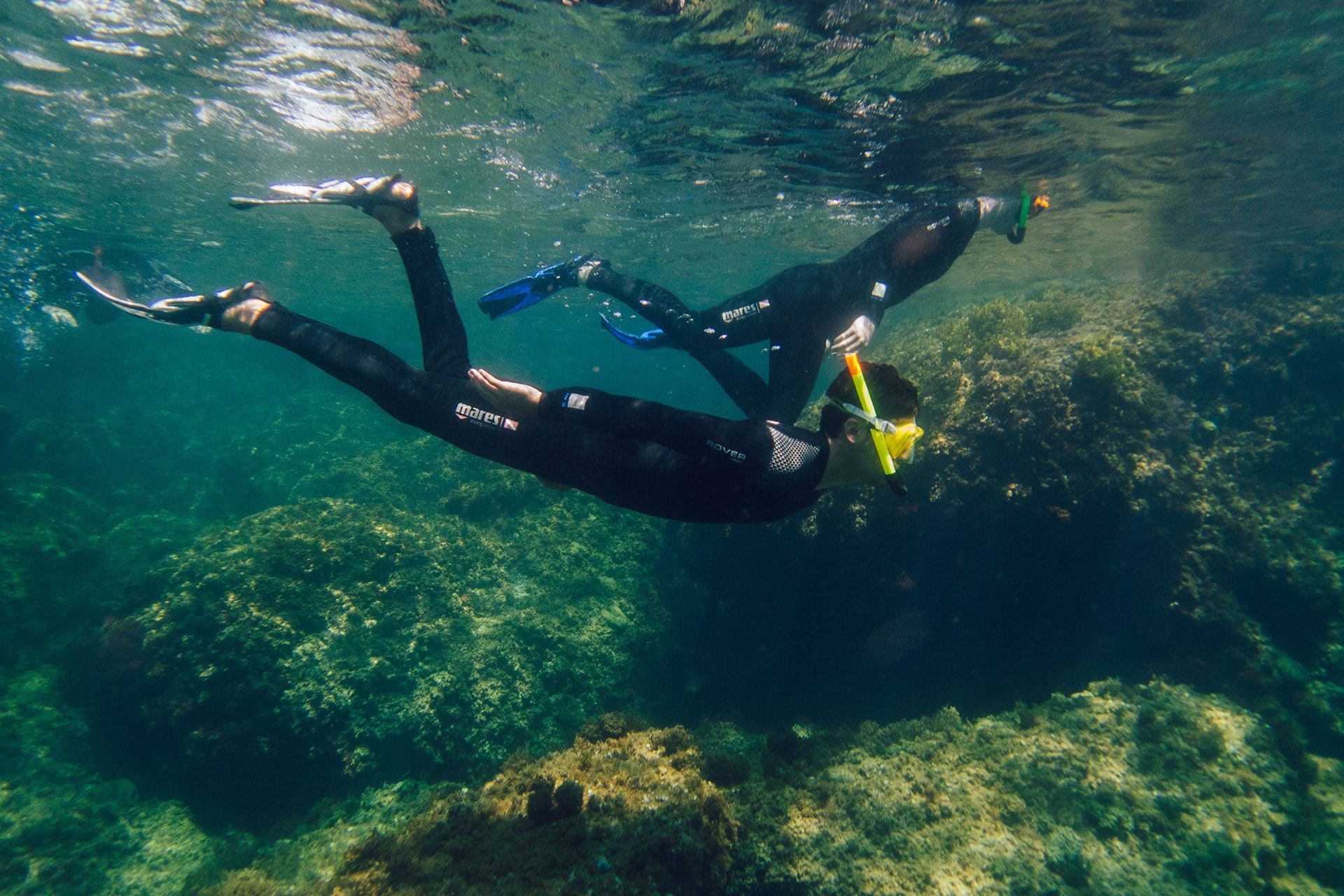El snorkel va más allá de ser una simple actividad recreativa: es una puerta directa para descubrir y aprender sobre la riqueza del medio marino, permitiendo observar de cerca la vida bajo el agua y conectar con los ecosistemas submarinos de manera respetuosa y consciente.