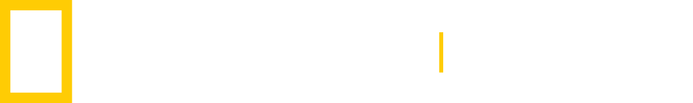 National Geogrphic Now